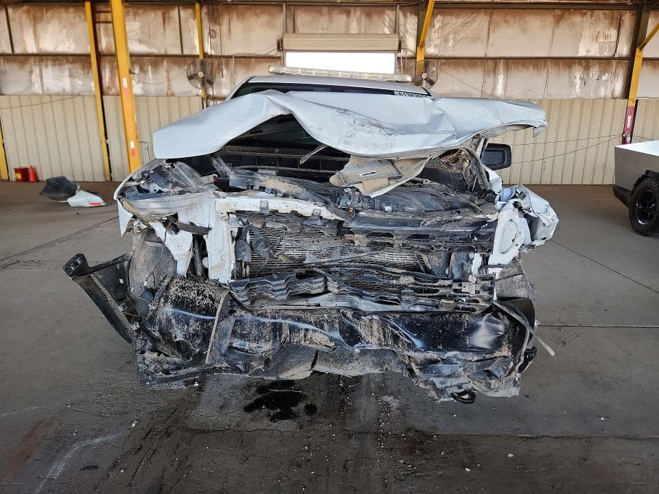 2019 CHEVROLET SILVERADO K1500 5