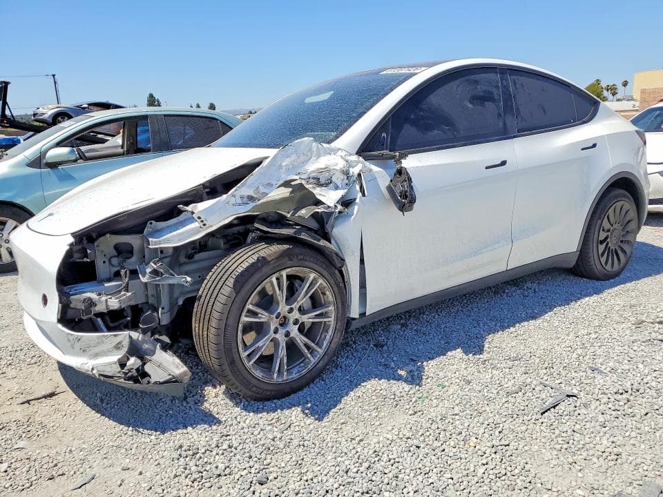 2023 TESLA MODEL Y - 1