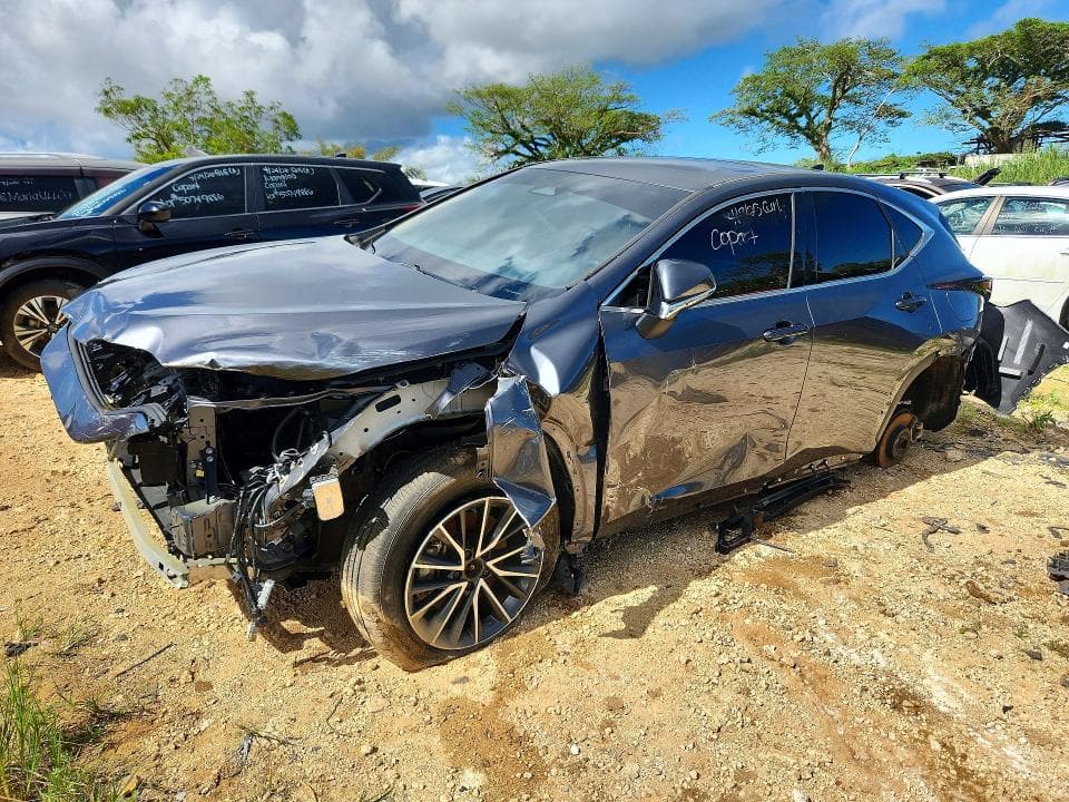 2024 LEXUS NX 250 PREMIUM 250 PREMIUM - 1