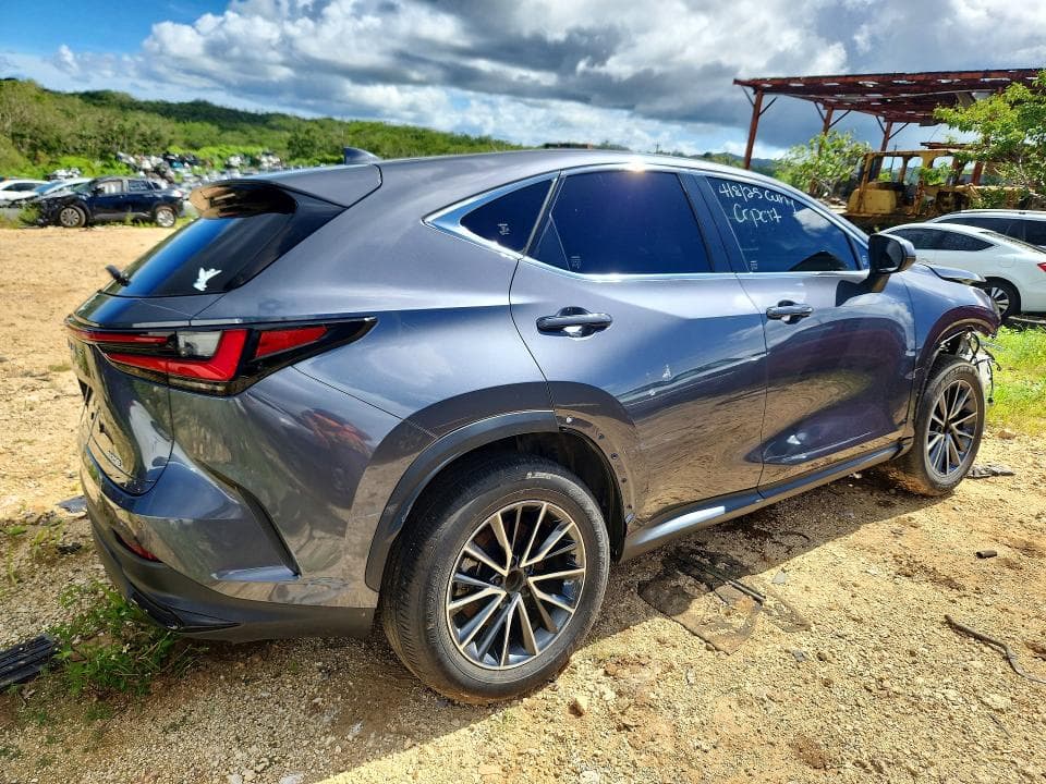 2024 LEXUS NX 250 PREMIUM 250 PREMIUM 4