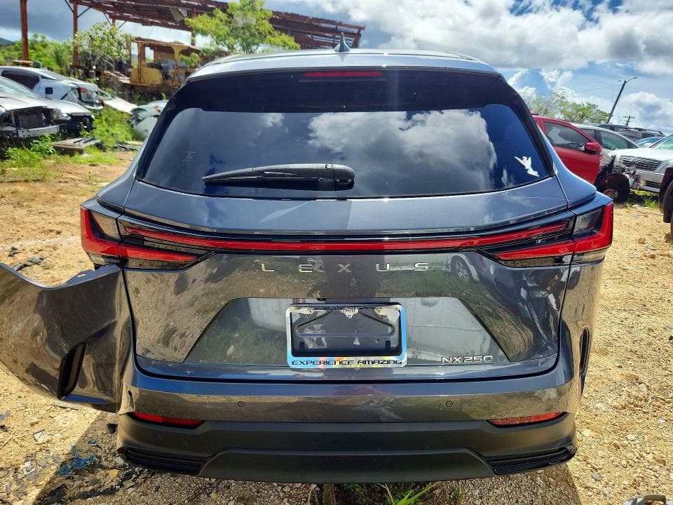 2024 LEXUS NX 250 PREMIUM 250 PREMIUM 7