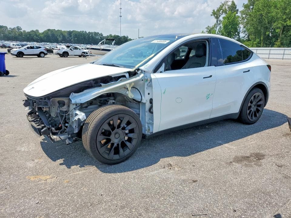 2021 TESLA MODEL Y - 1