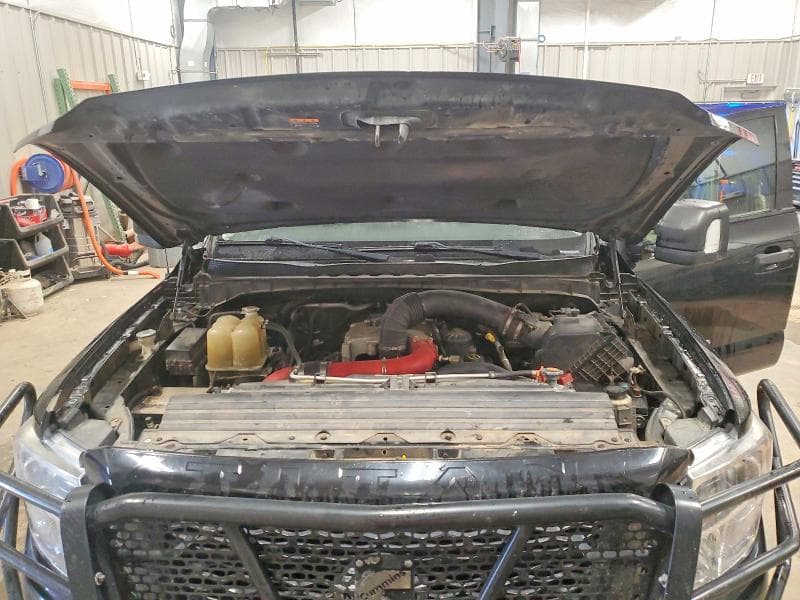 2019 NISSAN TITAN XD PRO-4X 11