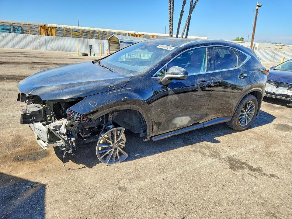 2024 LEXUS NX 350H PREMIUM - 1