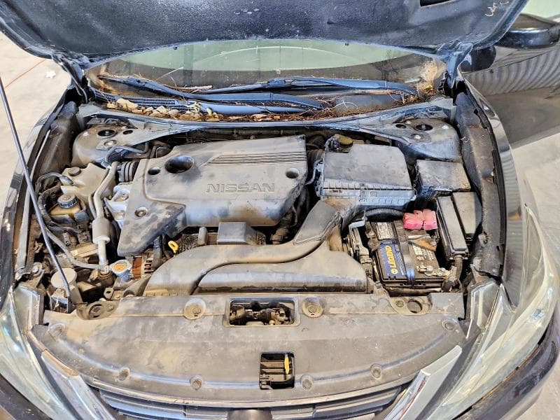 2017 NISSAN ALTIMA 2.5 S 11