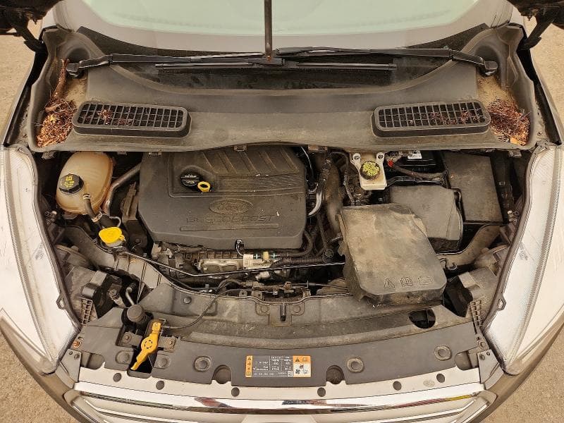 2018 FORD ESCAPE SE SE 12