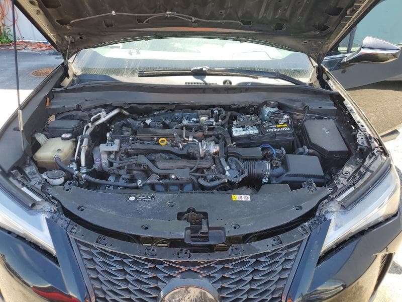 2019 LEXUS UX 200 12