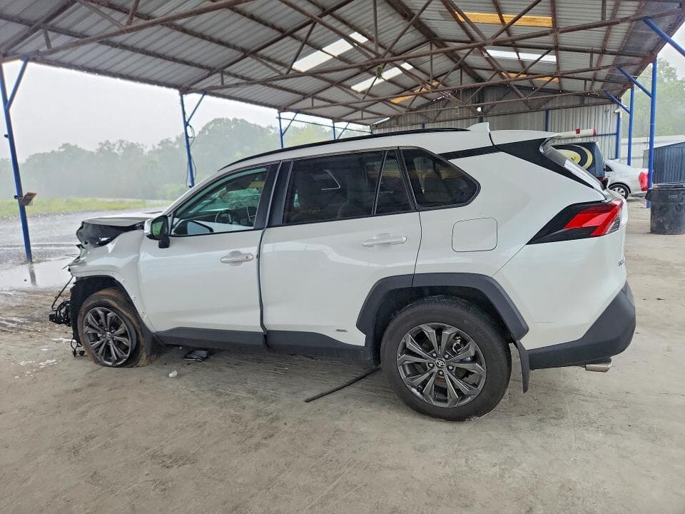 2025 TOYOTA RAV4 XLE PREMIUM 2
