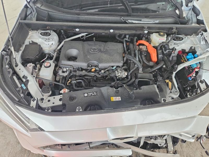 2025 TOYOTA RAV4 XLE PREMIUM 12