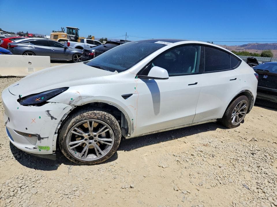 2023 TESLA MODEL Y - 1