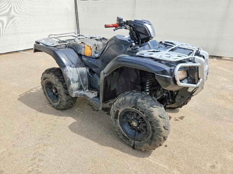 2020 HONDA TRX