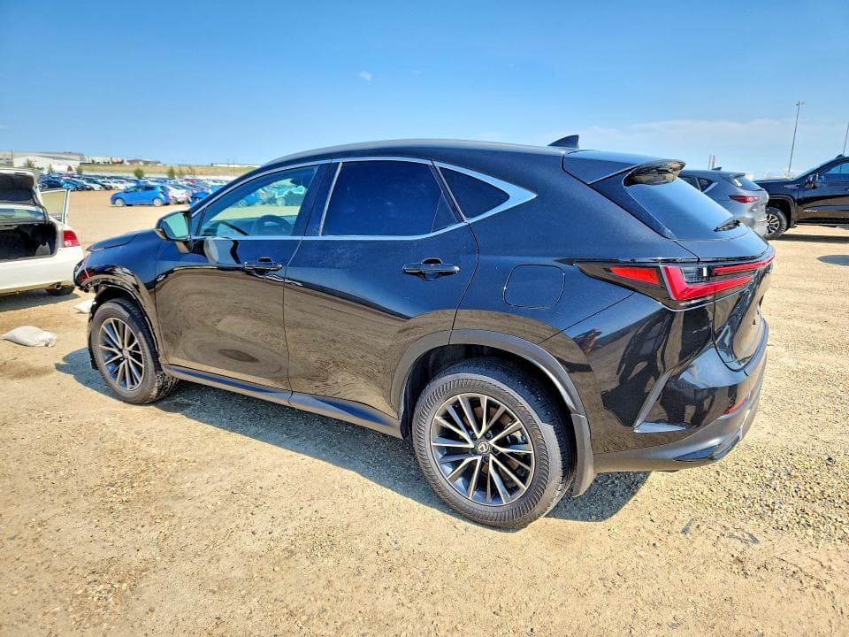 2025 LEXUS NX 350H PREMIUM 2