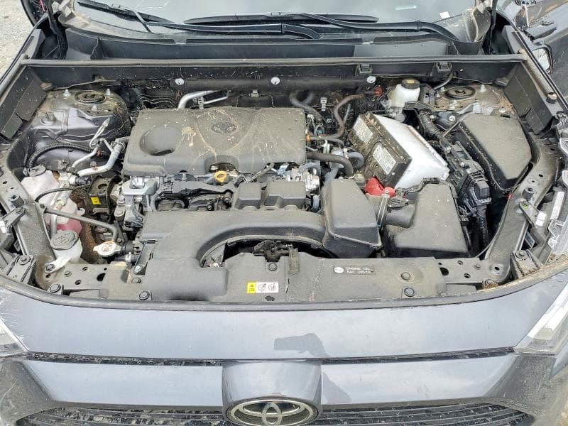 2025 TOYOTA RAV4 XLE PREMIUM 12