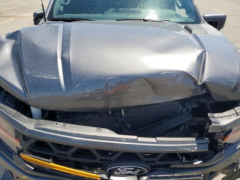 2025 FORD F150 TREMOR 11