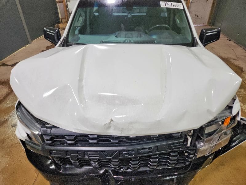 2019 CHEVROLET SILVERADO C1500 11