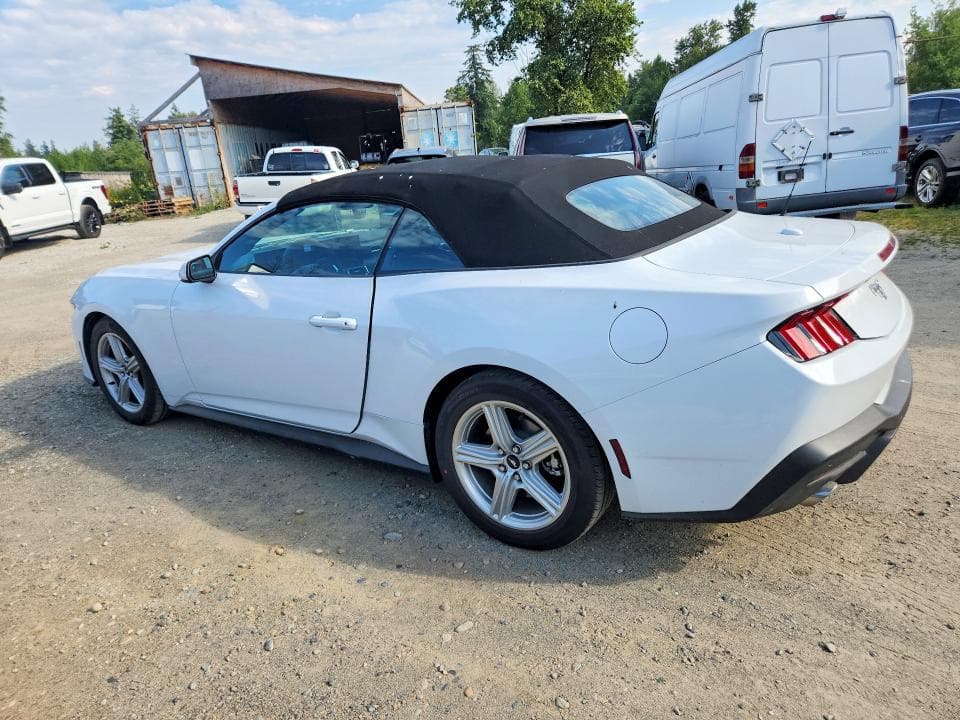 2026 FORD MUSTANG 2