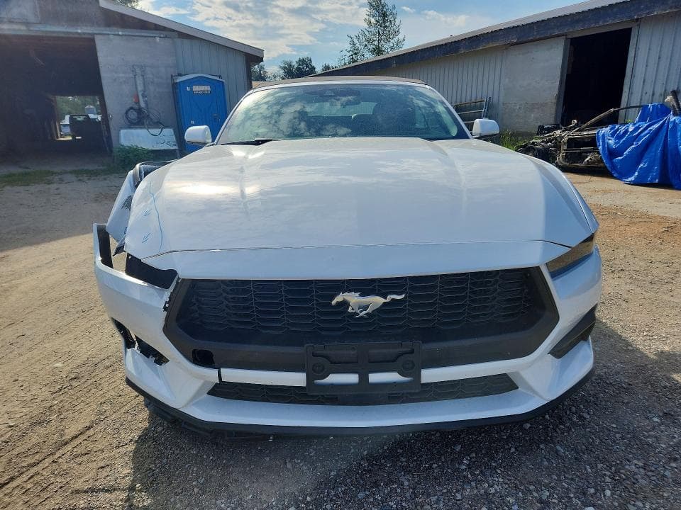 2026 FORD MUSTANG 5