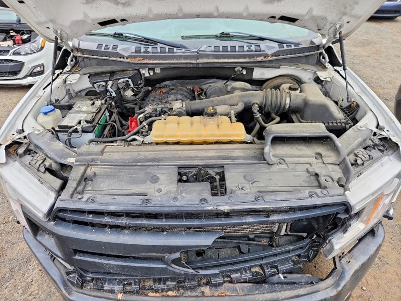 2019 FORD F150 11