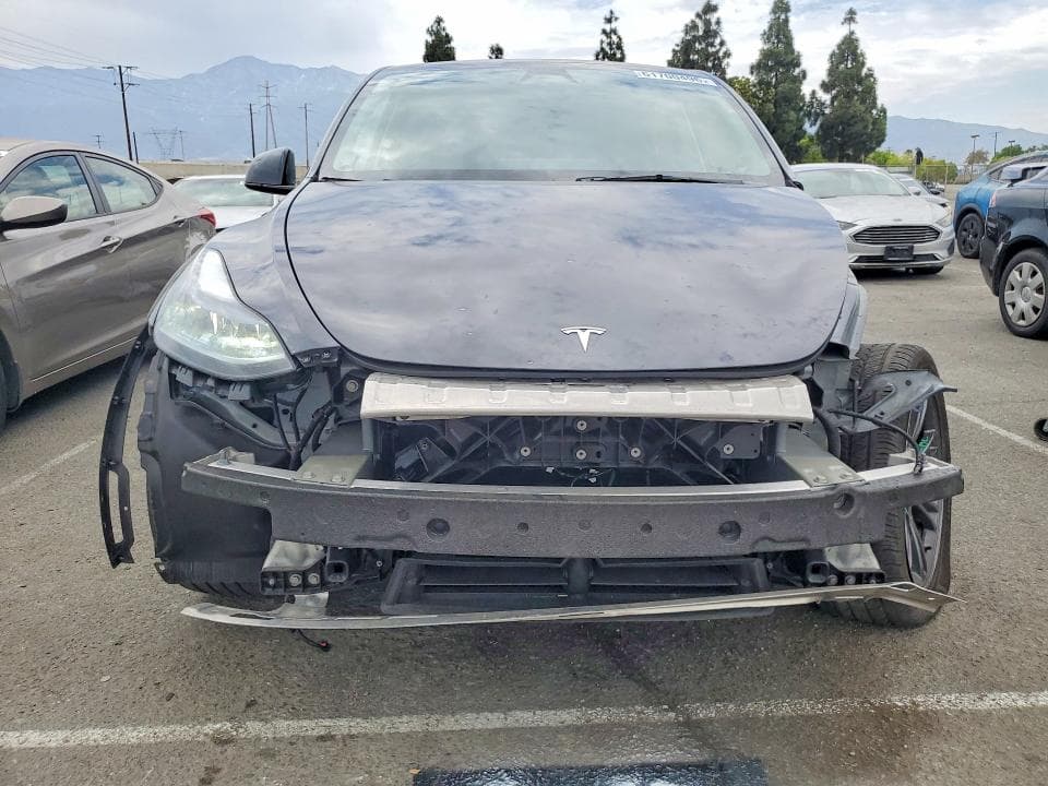 2025 TESLA MODEL Y 5