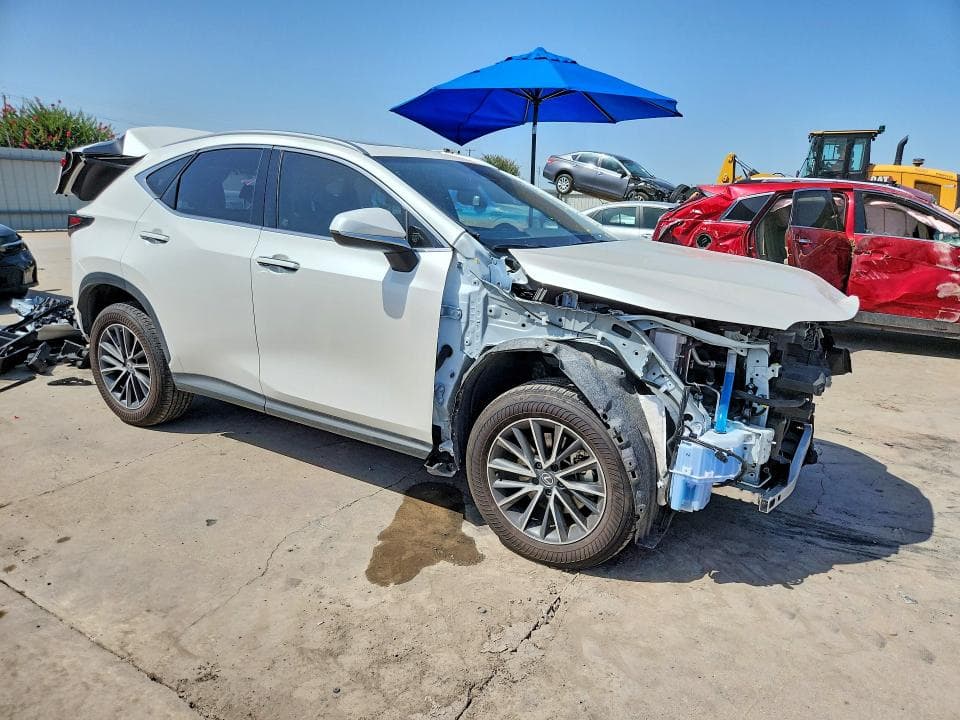 2025 LEXUS NX 350H PREMIUM 4