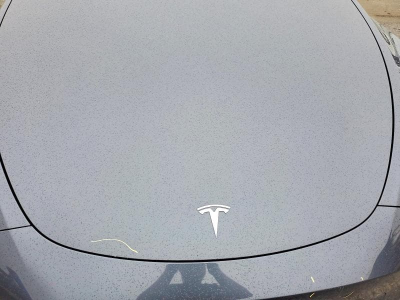 2020 TESLA MODEL Y 11