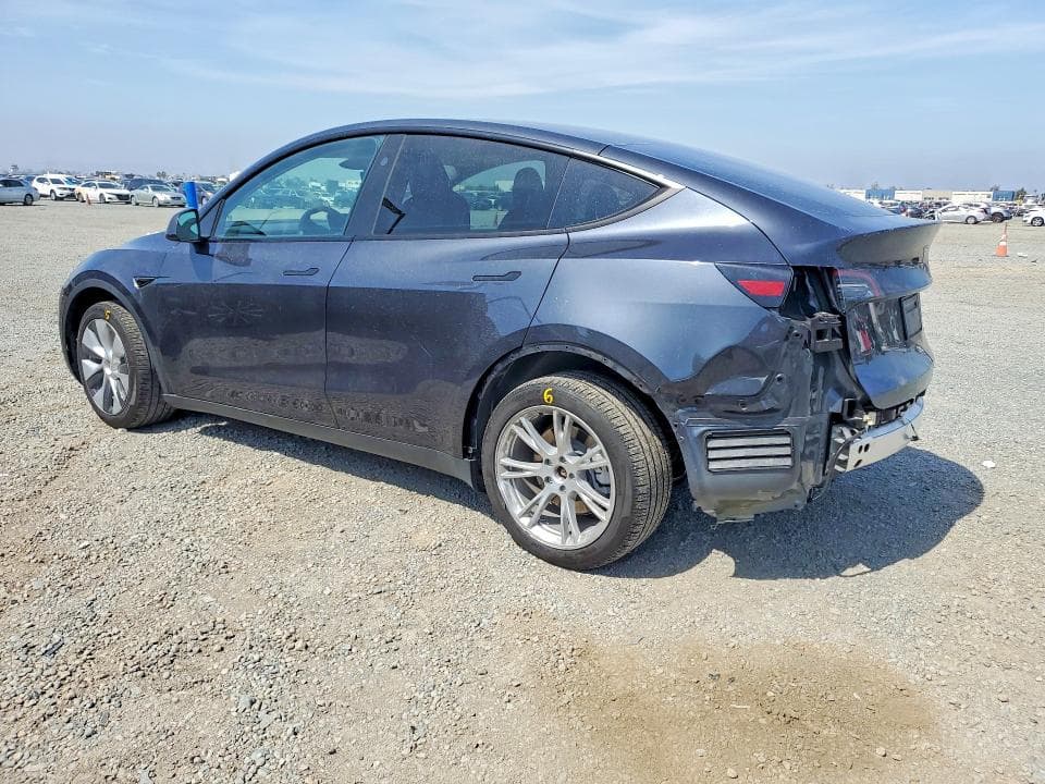 2024 TESLA MODEL Y 2