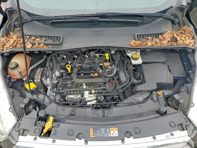 2017 FORD ESCAPE SE SE 12
