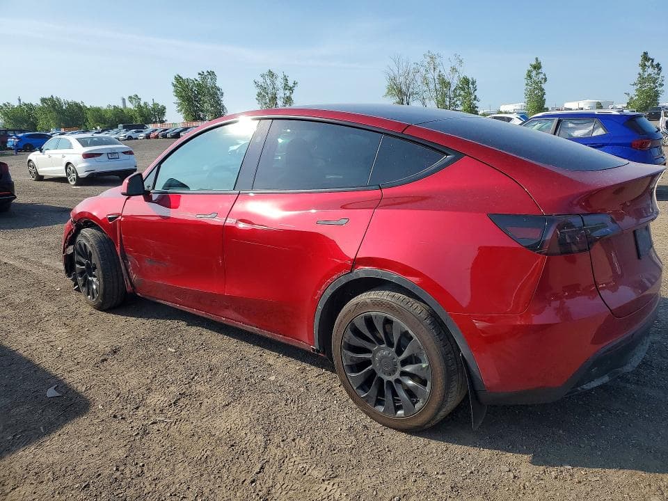2024 TESLA MODEL Y 2