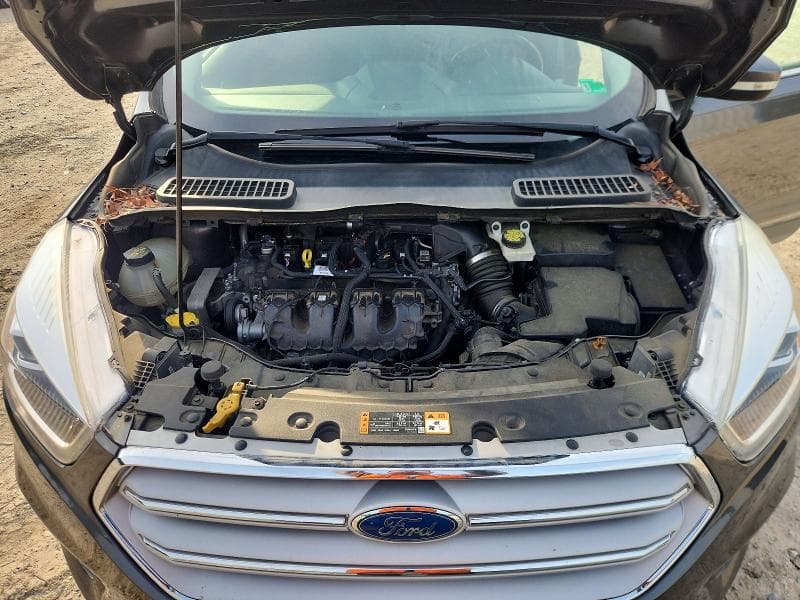 2019 FORD ESCAPE TITANIUM 12