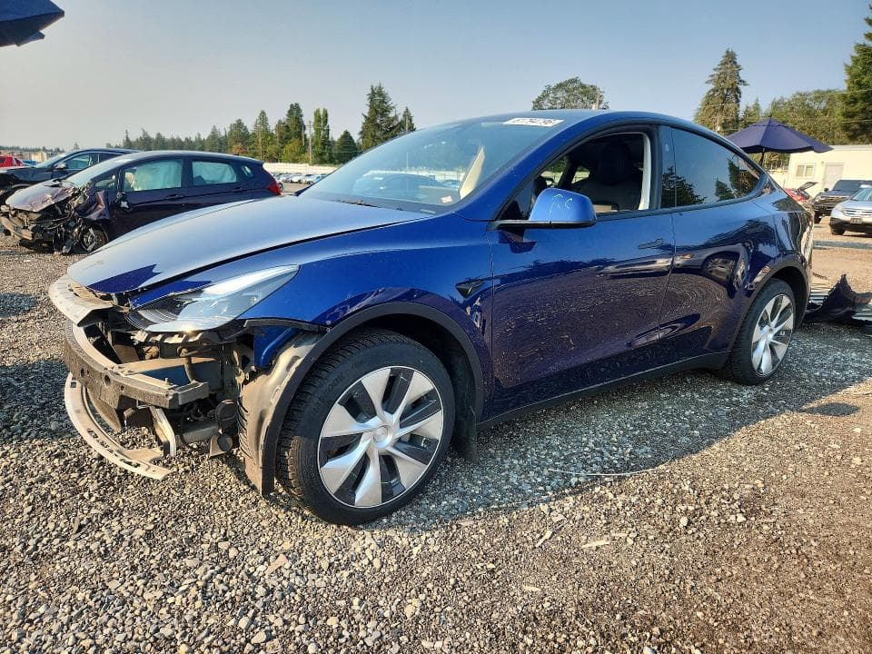 2023 TESLA MODEL Y - 1