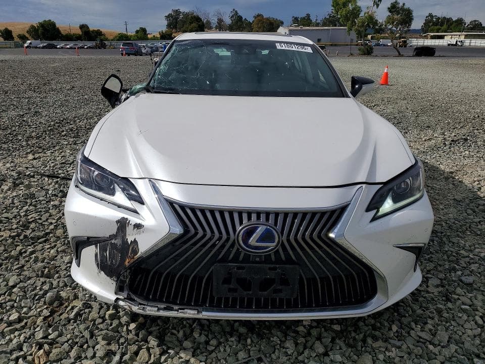 2019 LEXUS ES 300H 5