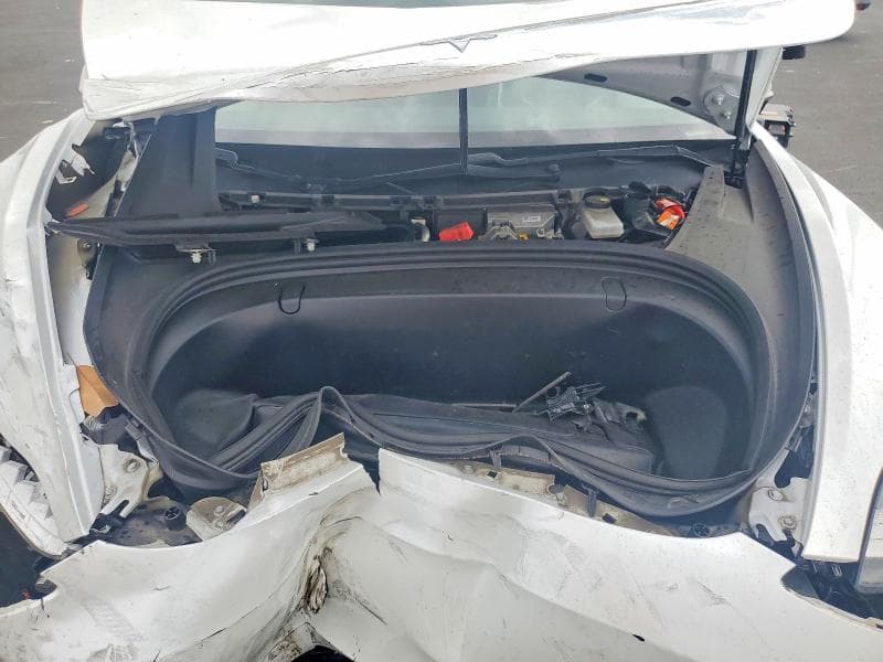 2019 TESLA MODEL 3 11