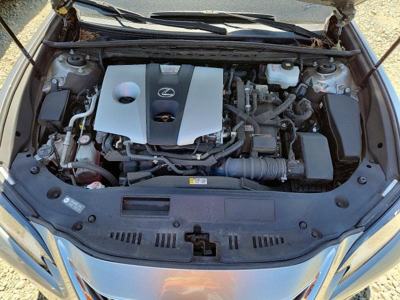 2020 LEXUS ES 300H LUXURY 11