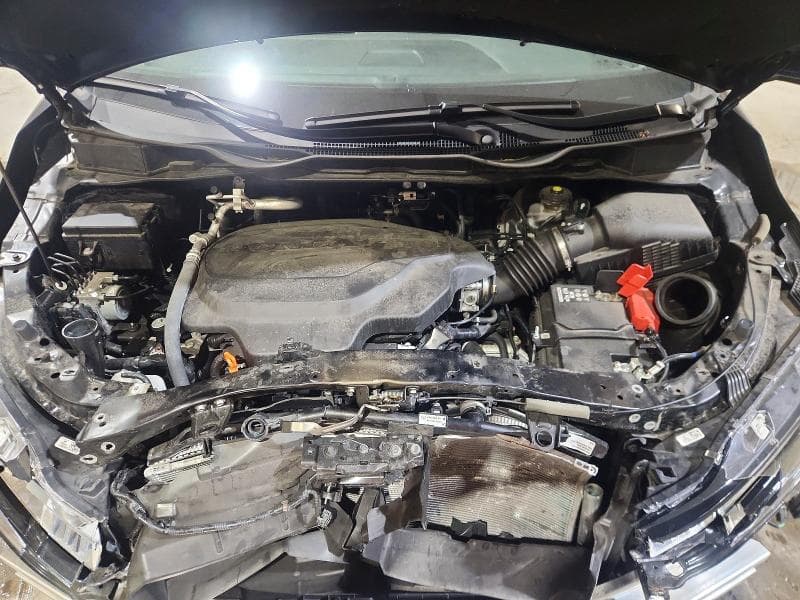 2025 HONDA ODYSSEY EXL 12