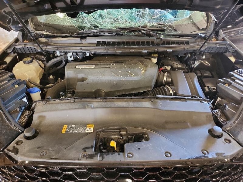 2019 FORD EDGE ST 12