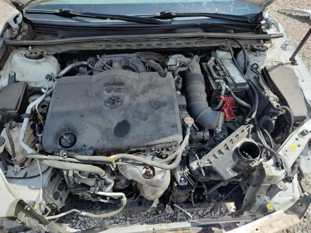 2019 TOYOTA CAMRY XLE V6 XLE V6 11