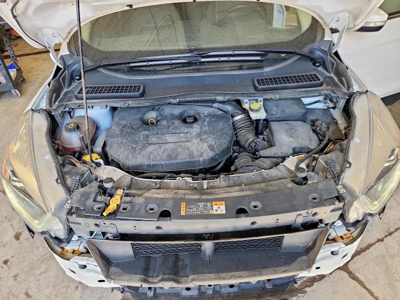 2019 FORD ESCAPE TITANIUM 12