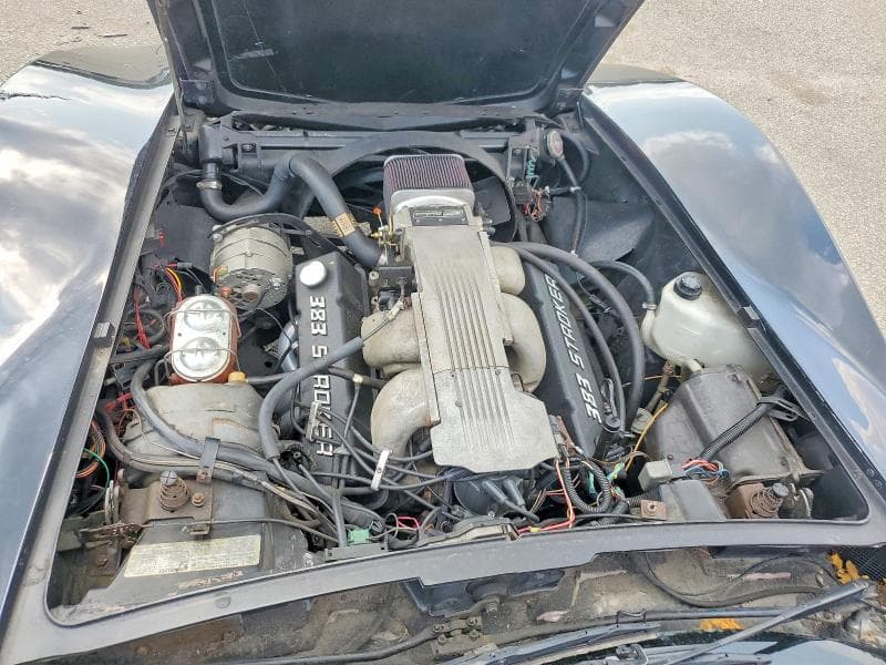 1979 CHEVROLET CORVETTE 11