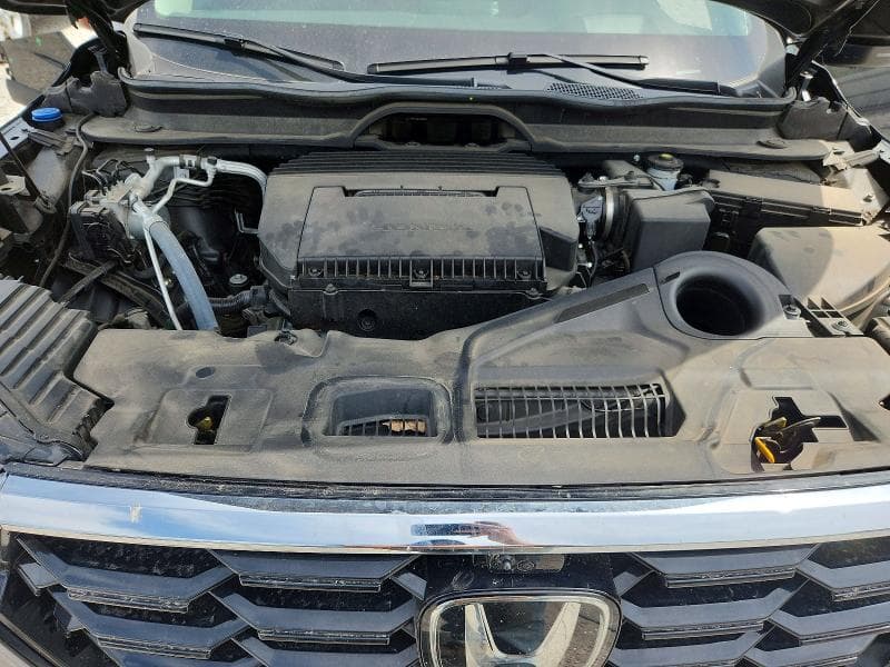 2025 HONDA PILOT ELITE 12