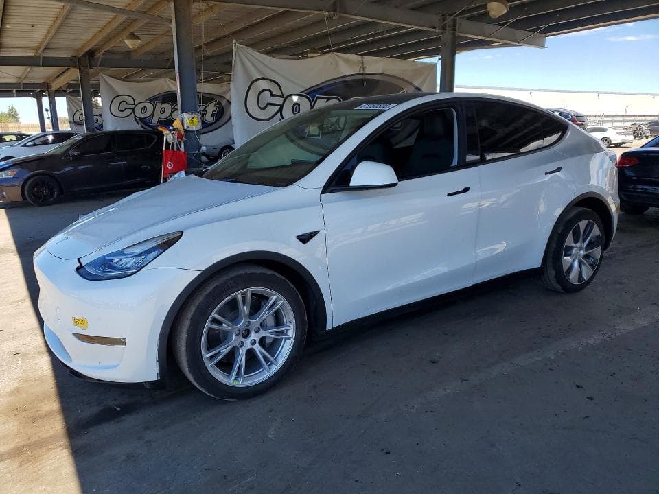 2022 TESLA MODEL Y - 1