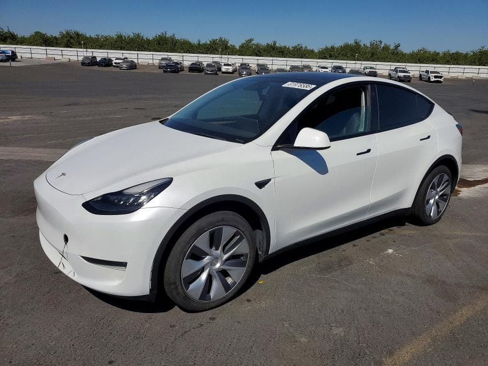 2023 TESLA MODEL Y - 1