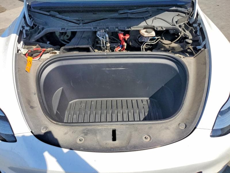 2023 TESLA MODEL Y 12