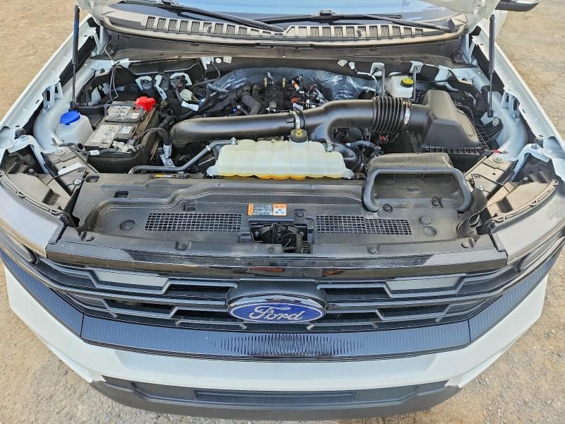 2025 FORD EXPEDITION ACTIVE 12