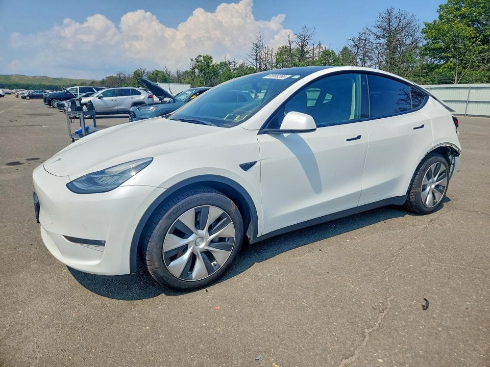 2022 TESLA MODEL Y - 1