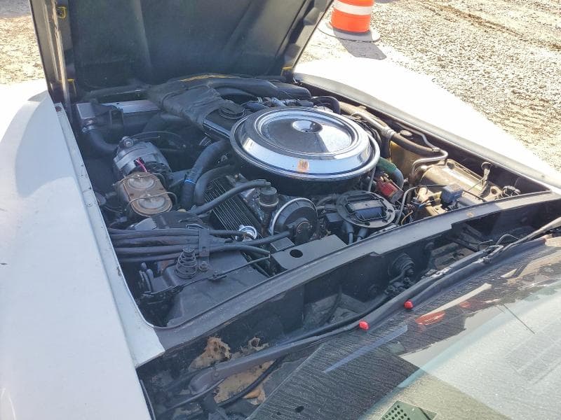 1981 CHEVROLET CORVETTE 12