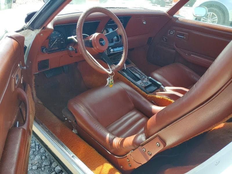 1981 CHEVROLET CORVETTE 9