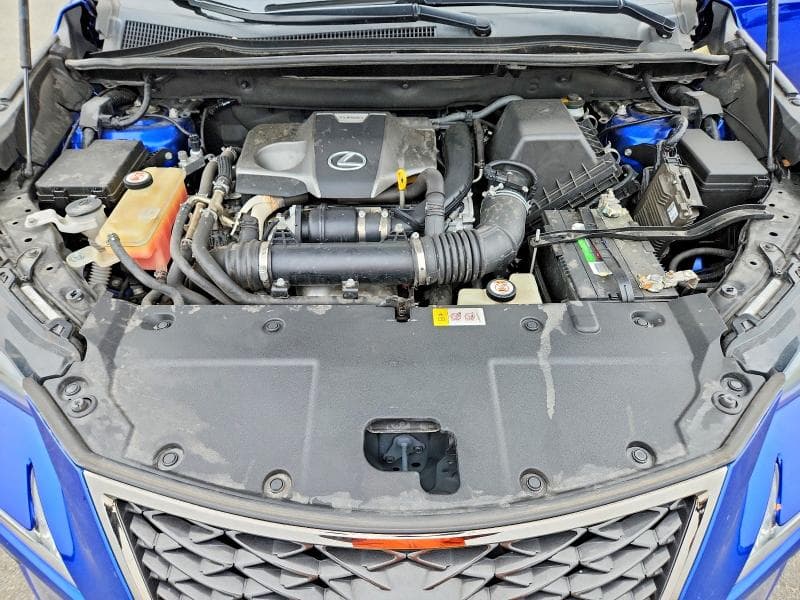 2019 LEXUS NX 300 F SPORT 12