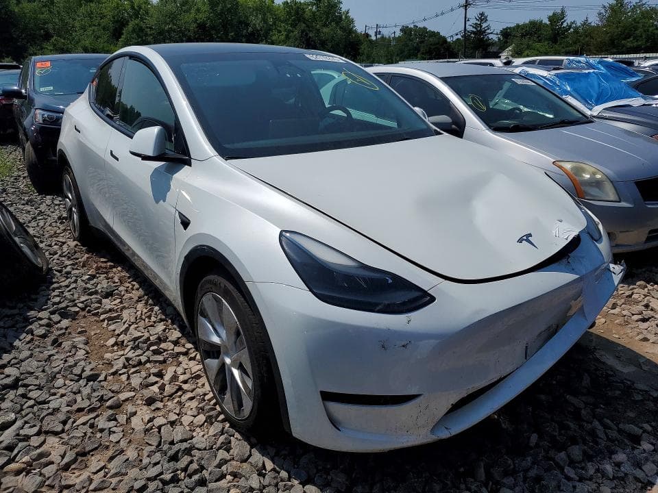 2023 TESLA MODEL Y 4