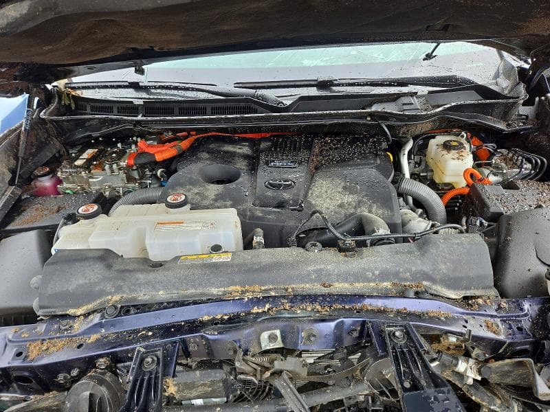 2025 TOYOTA TUNDRA CREWMAX LIMITED 11