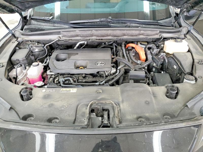 2024 LEXUS RX 350H PREMIUM 12